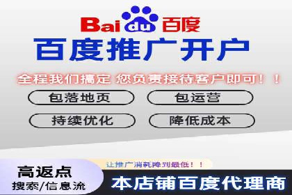 搜索引擎优化（SEO）与竞价广告（SEM）的对比案例